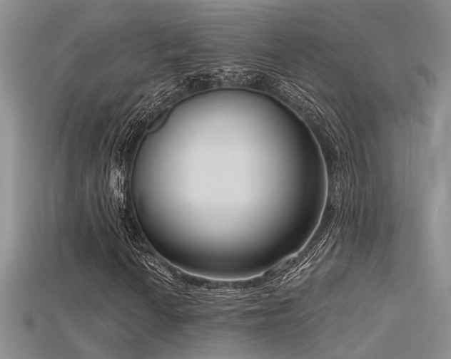 X0000115671010200911121148