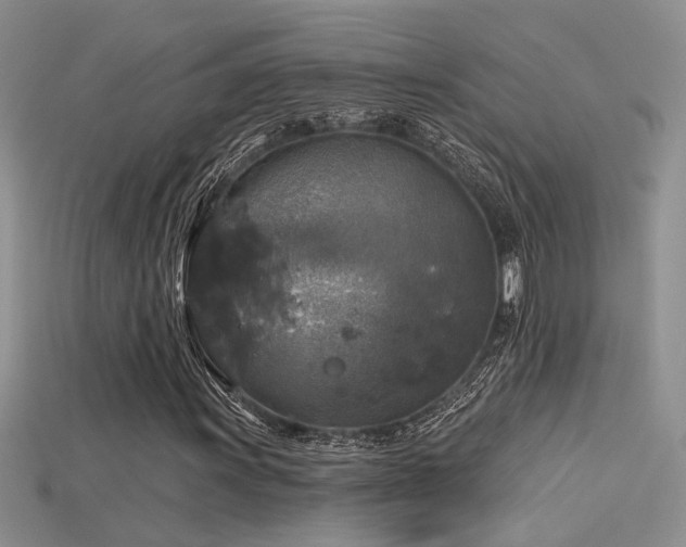 X0000115671011200911121148