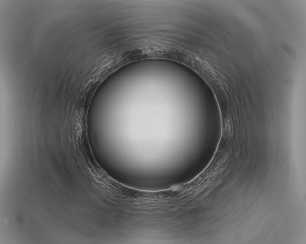 X0000115671012200911121148