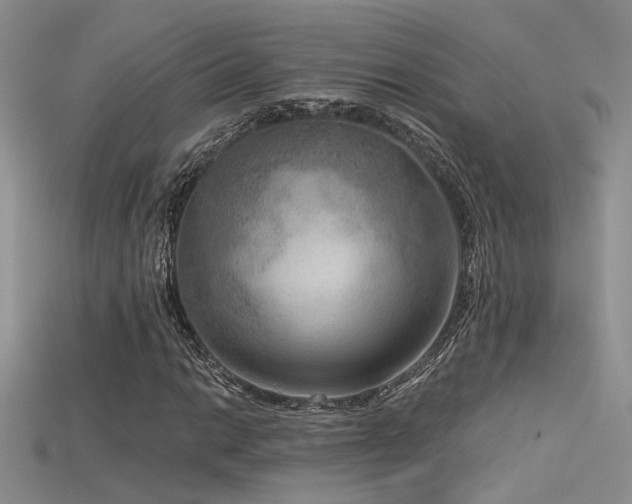 X0000115671014200911121148