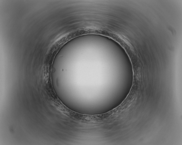 X0000115671015200911121148