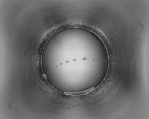 X0000115671016200911121148