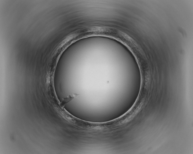 X0000115671017200911121148