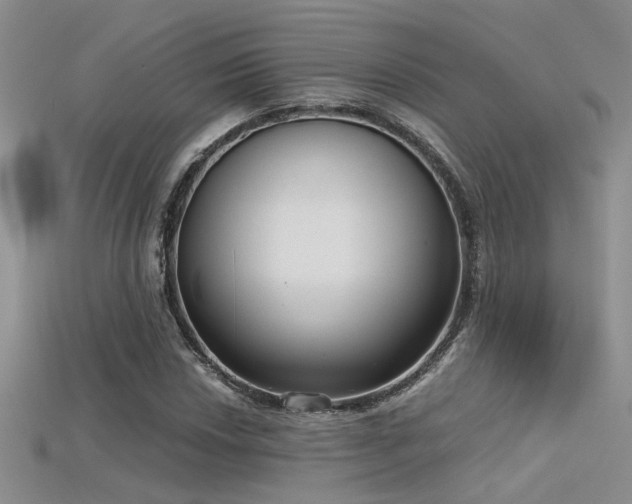 X0000115671018200911121148
