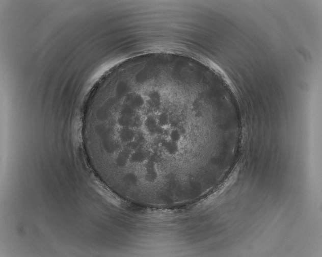 X0000115671019200911121148