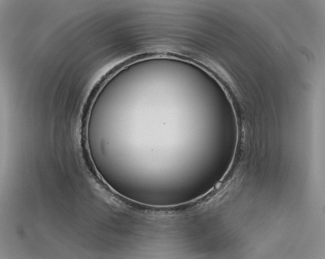 X0000115671020200911121148