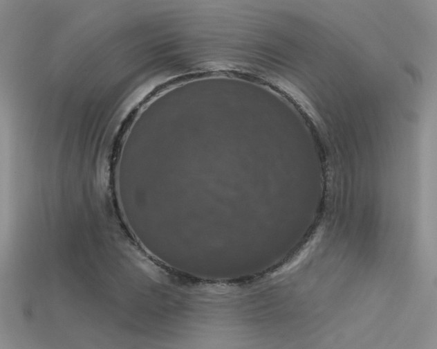 X0000115671023200911121148
