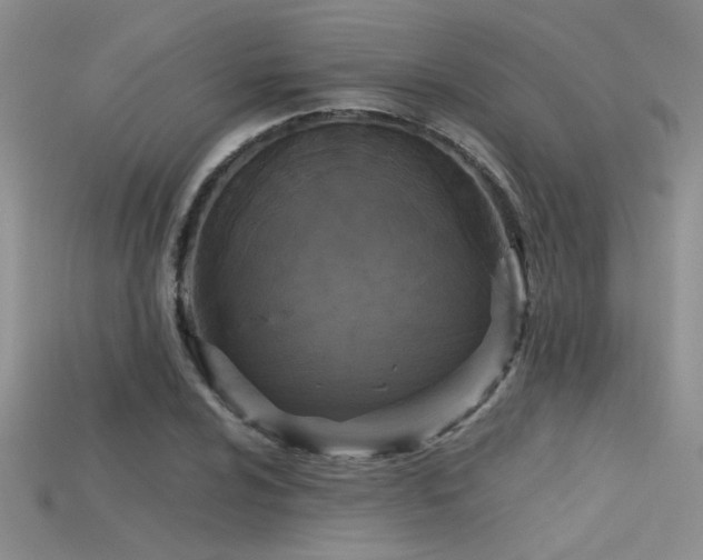 X0000115671024200911121148