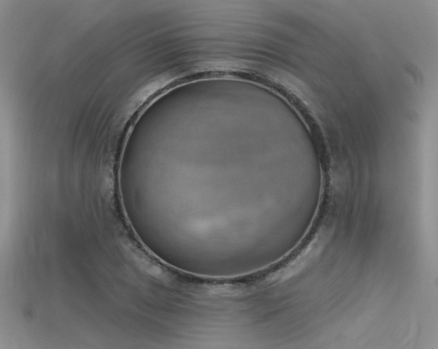 X0000115671025200911121148
