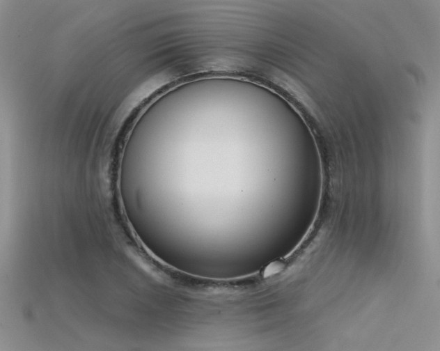 X0000115671026200911121148
