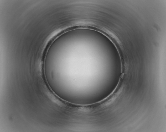 X0000115671029200911121148