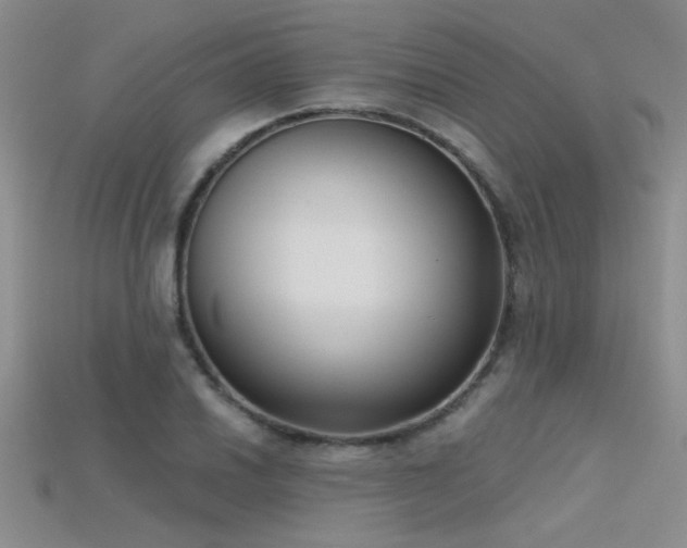 X0000115671030200911121148