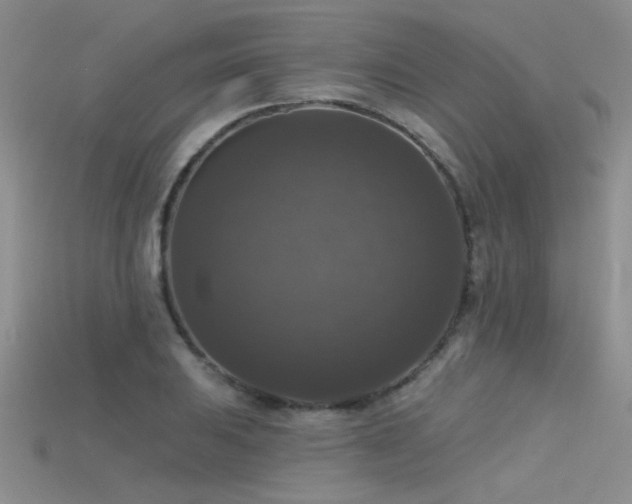 X0000115671031200911121148