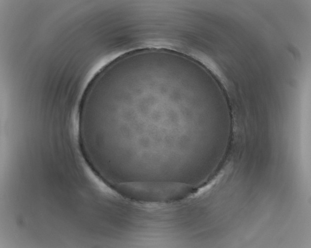 X0000115671032200911121148