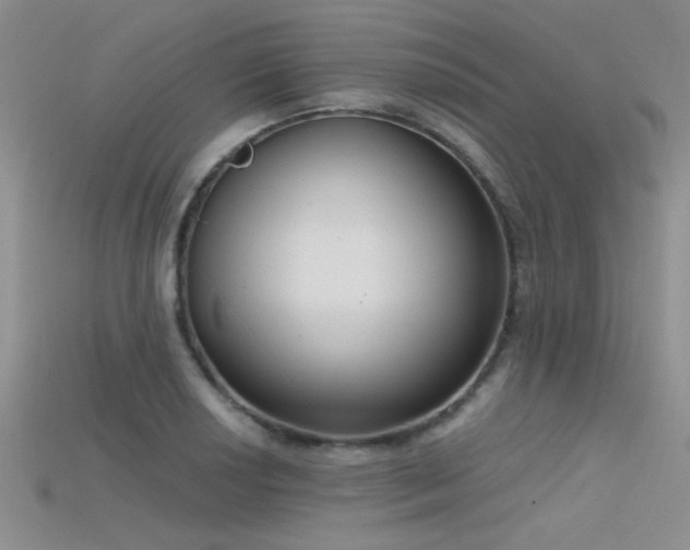 X0000115671034200911121148