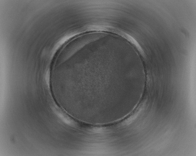 X0000115671035200911121148
