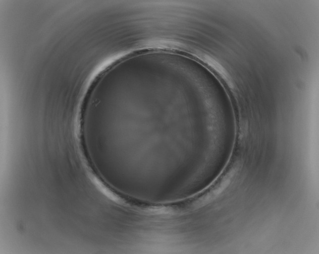 X0000115671037200911121148
