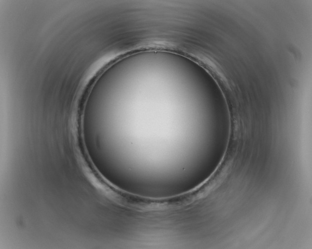 X0000115671038200911121148