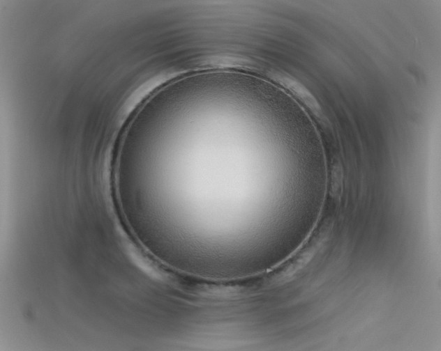 X0000115671039200911121148