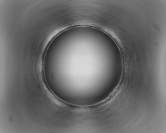 X0000115671040200911121148