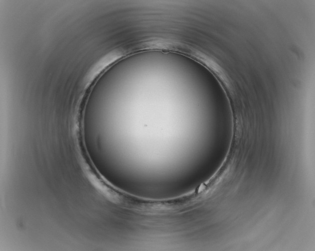 X0000115671042200911121148