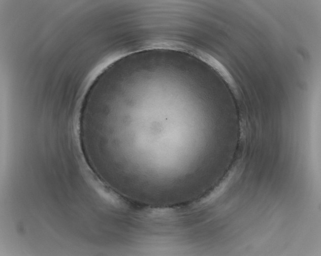 X0000115671043200911121148