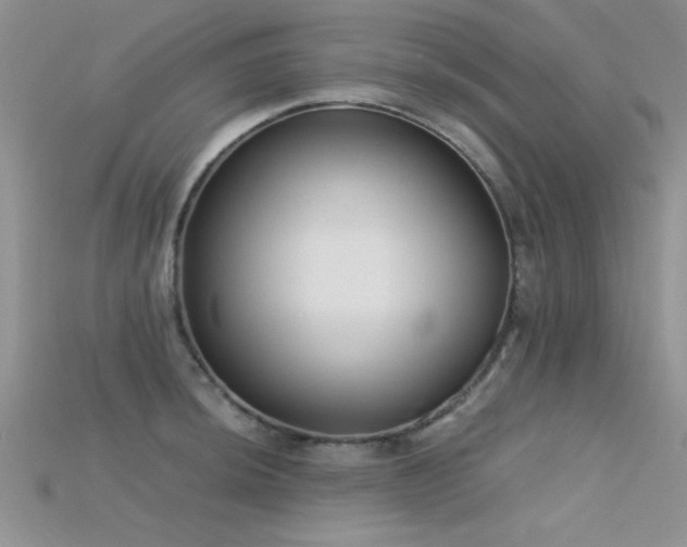 X0000115671044200911121148