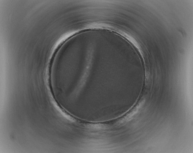 X0000115671045200911121148