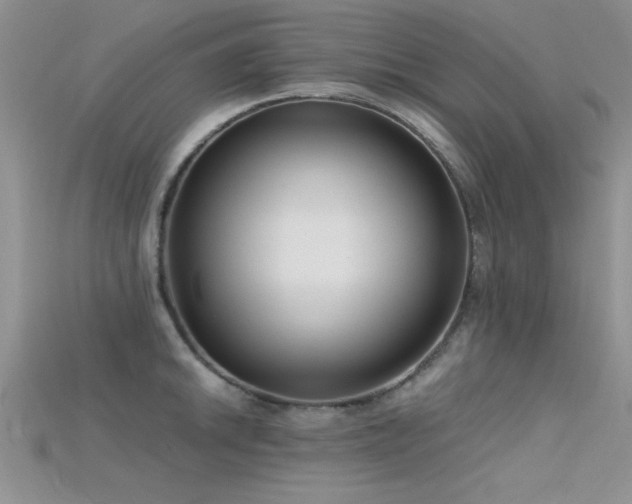 X0000115671046200911121148