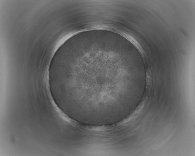 X0000115671047200911121148