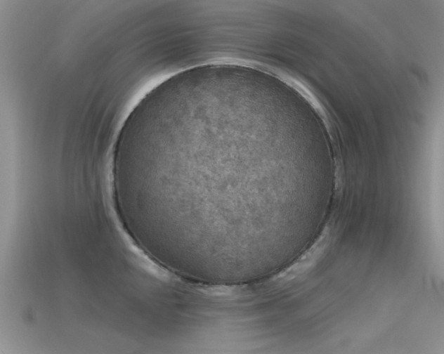 X0000115671048200911121148