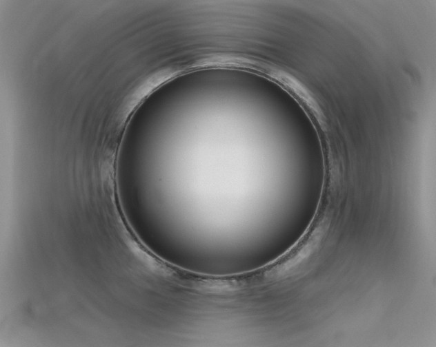 X0000115671049200911121148