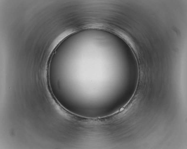 X0000115671050200911121149