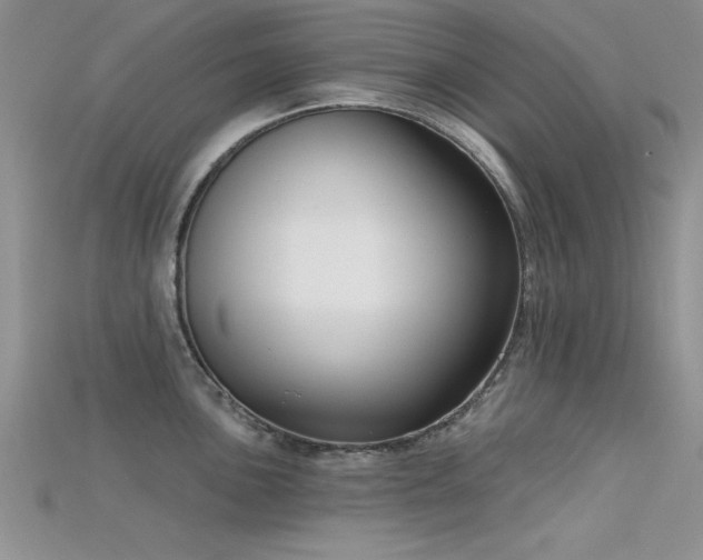 X0000115671051200911121149