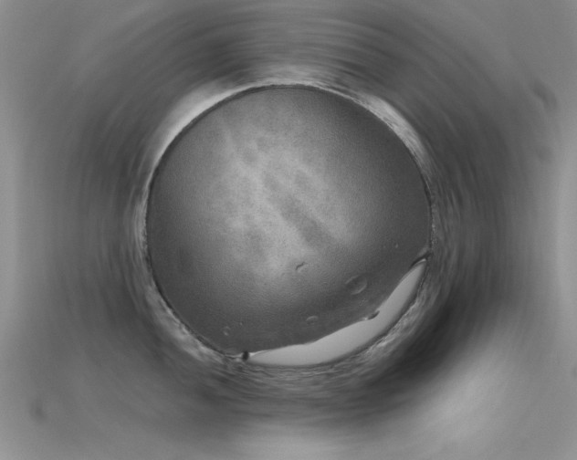 X0000115671052200911121149