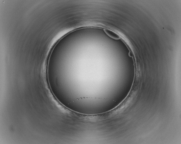 X0000115671053200911121149