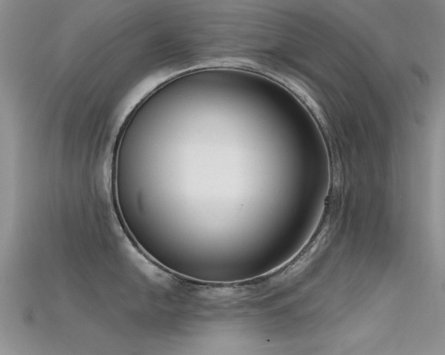 X0000115671054200911121149