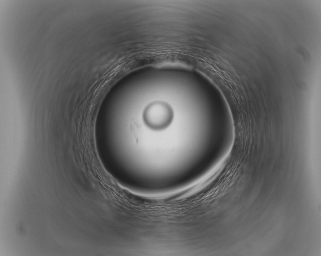 X0000115671057200911121148