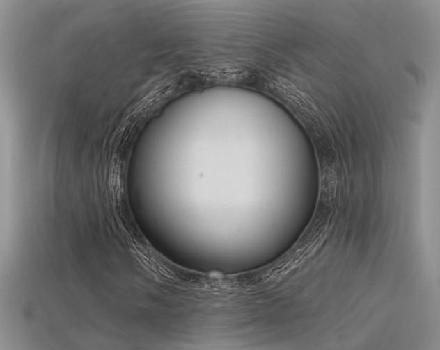 X0000115671058200911121148