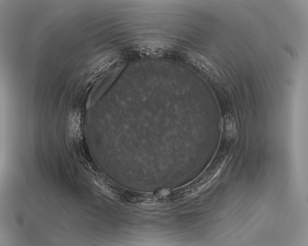 X0000115671060200911121148