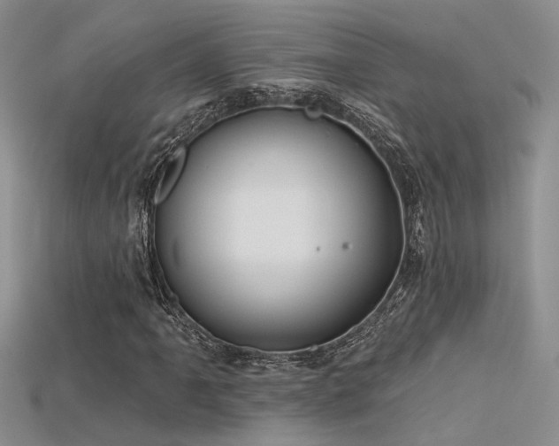 X0000115671061200911121148