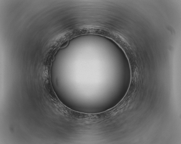 X0000115671062200911121148