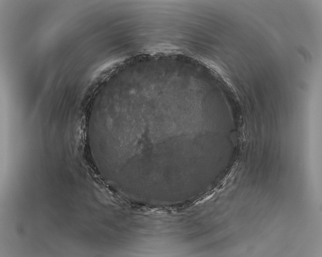 X0000115671063200911121148