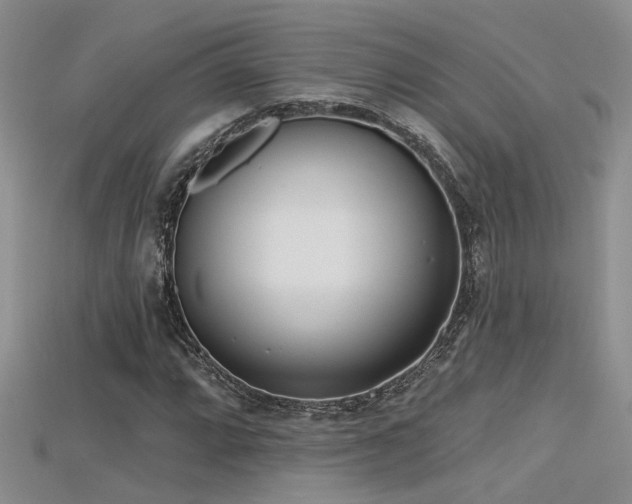 X0000115671064200911121148