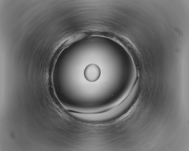 X0000115671065200911121148
