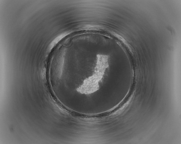 X0000115671066200911121148