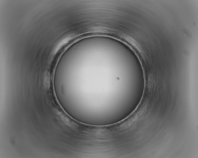 X0000115671067200911121148