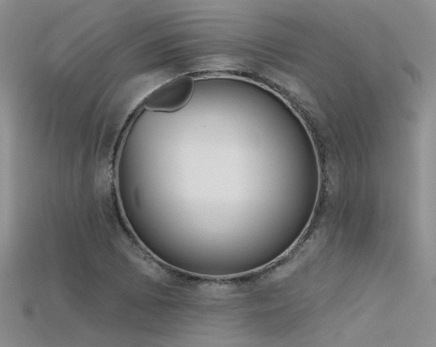 X0000115671073200911121148