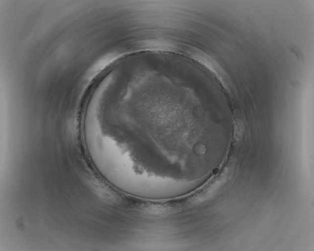 X0000115671074200911121148