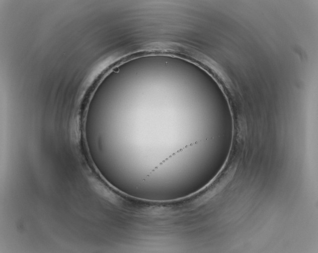 X0000115671075200911121148